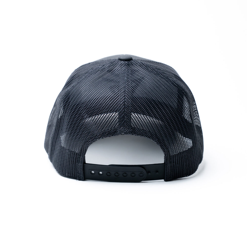 BPG Grey Hat Snapback - back